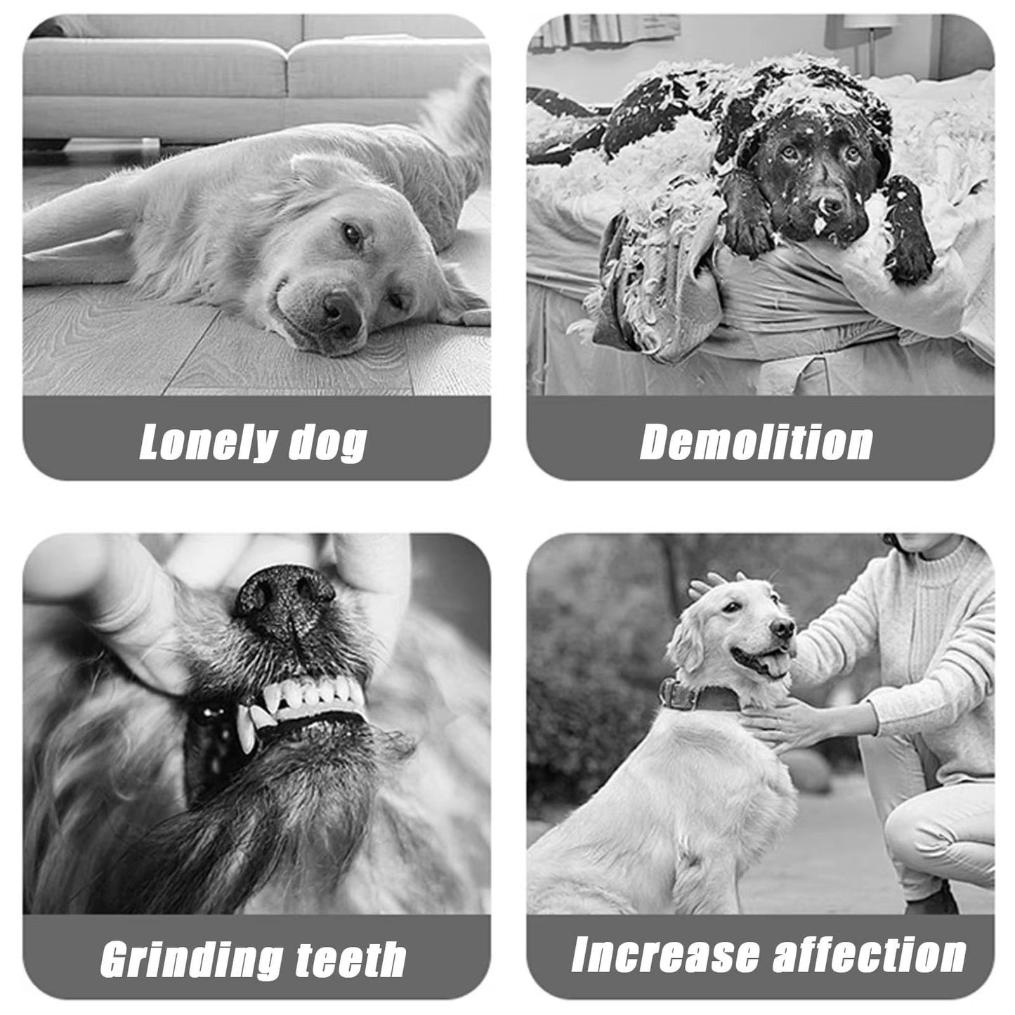 Dog Toys, Interactive Dog Balls, Jumping Ball Toys, for USB Rechargeable Interactive Dog Toy Household Creative Pet Ball Toy