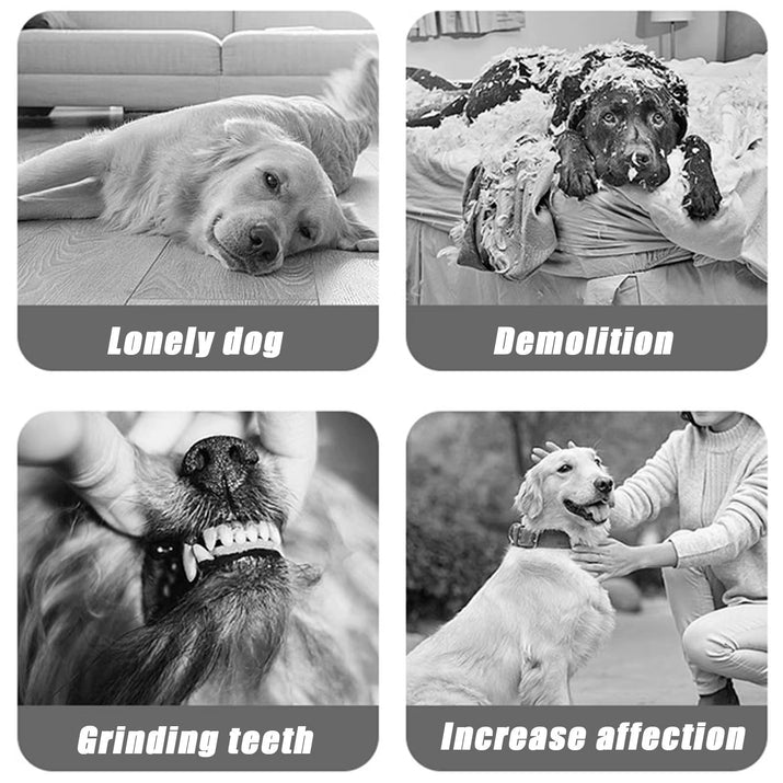 Dog Toys, Interactive Dog Balls, Jumping Ball Toys, for USB Rechargeable Interactive Dog Toy Household Creative Pet Ball Toy