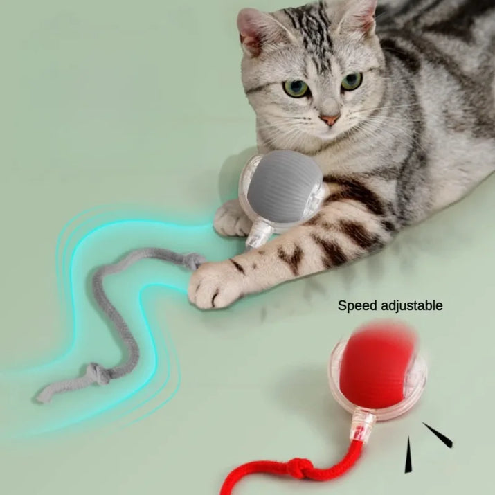 Cat Interactive Ball Toys Automatic Rolling Ball for Kitten Rechargeable Smart Pet Electric Toys with Teaser Sensor Cat Ball Toy